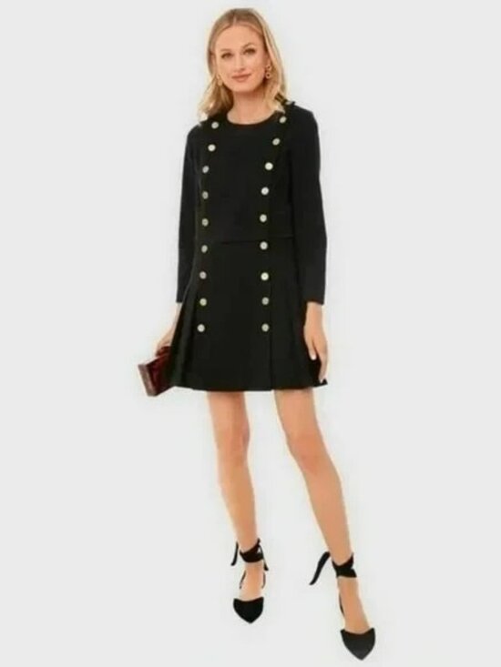 Tuckernuck Dresses & Skirts - Tuckernuck Women's Black Whitney Mini Dress Pleated Gold Button Drop Waist sz M